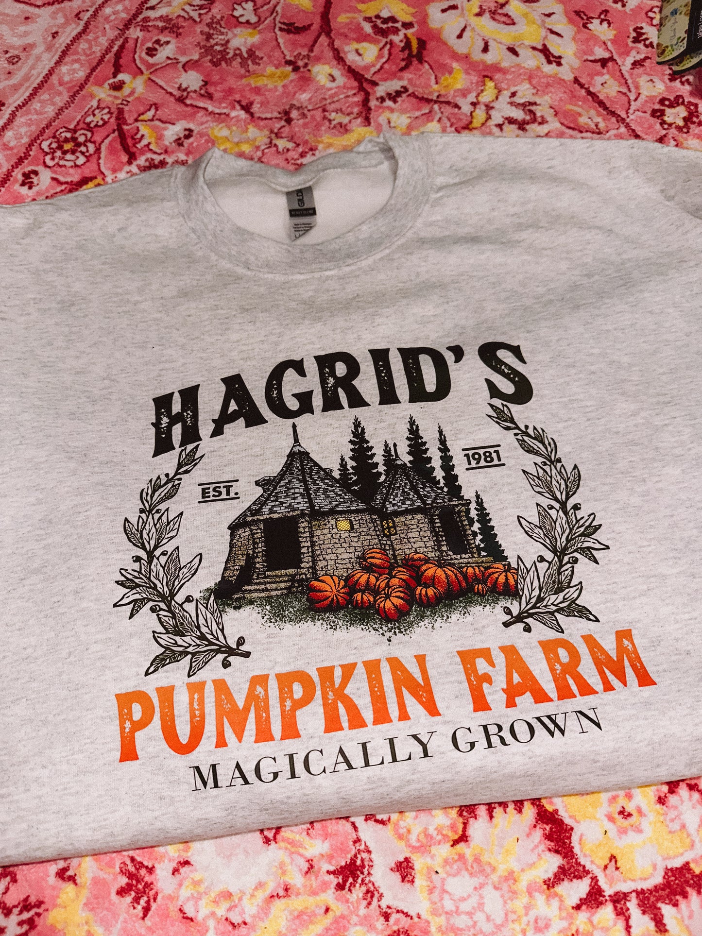 Hagrid’s pumpkin farm