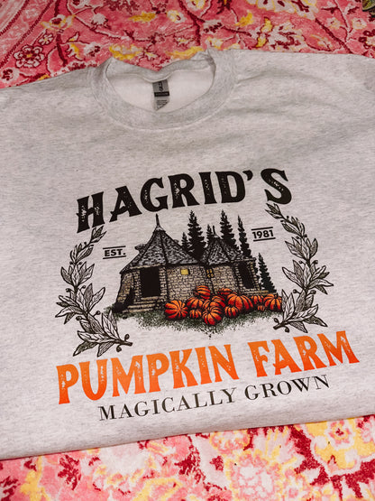 Hagrid’s pumpkin farm