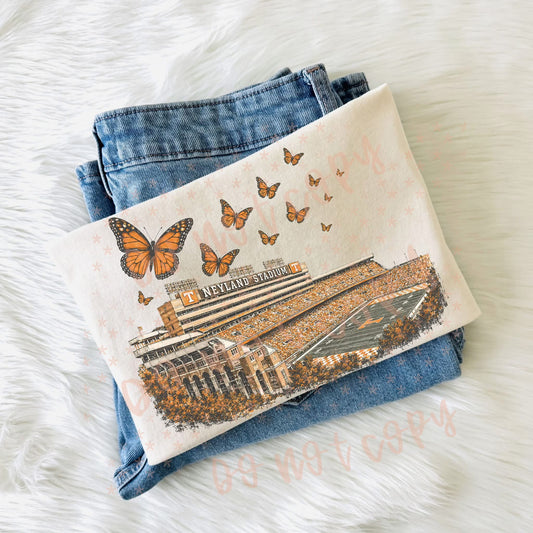 Neyland butterflies
