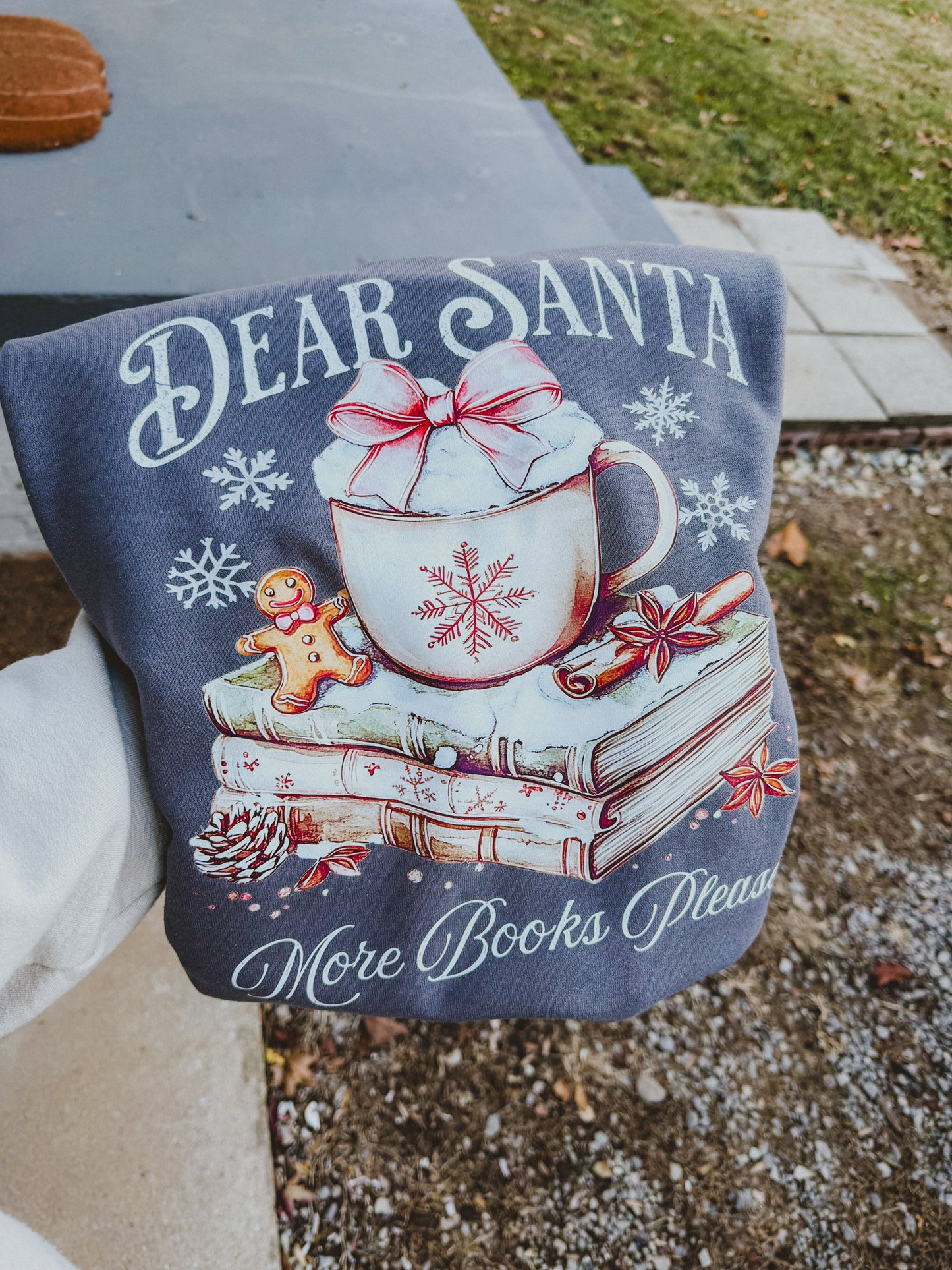 Dear santa more books please