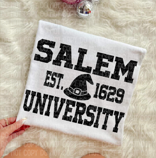 Salem university